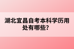 湖北宜昌自考本科學(xué)歷用處有哪些？