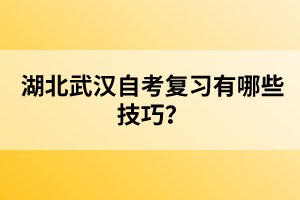 湖北武漢自考復(fù)習(xí)有哪些技巧？