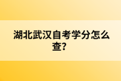 湖北武漢自考學(xué)分怎么查？