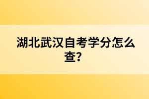 湖北武漢自考學分怎么查？