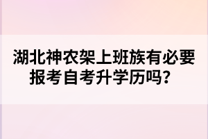 湖北神農(nóng)架上班族有必要報考自考升學(xué)歷嗎？