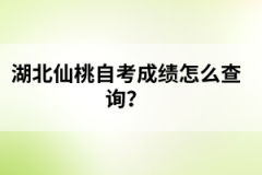 湖北仙桃自考成績怎么查詢？