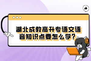 湖北成教高升專語(yǔ)文語(yǔ)音知識(shí)點(diǎn)要怎么學(xué)？