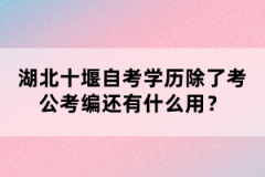 湖北十堰自考學歷除了考公考編還有什么用？