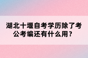 湖北十堰自考學(xué)歷除了考公考編還有什么用？