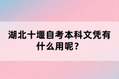 湖北十堰自考本科文憑有什么用呢？