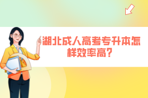 湖北成人高考專升本怎樣效率高？