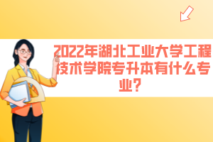 2022年湖北工業(yè)大學工程技術學院專升本有什么專業(yè)？