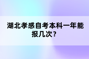 湖北孝感自考本科一年能報幾次？