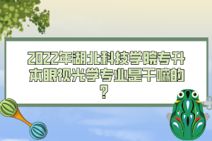 2022年湖北科技學(xué)院專升本眼視光學(xué)專業(yè)是干嘛的？