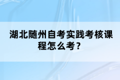 湖北隨州自考實(shí)踐考核課程怎么考？