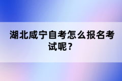 湖北咸寧自考怎么報名考試呢？