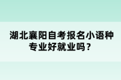 湖北襄陽自考報名小語種專業(yè)好就業(yè)嗎？