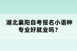 湖北襄陽自考報名小語種專業(yè)好就業(yè)嗎？