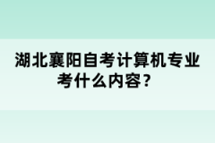 湖北襄陽自考計算機專業(yè)考什么內(nèi)容？