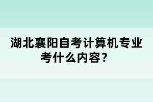 湖北襄陽自考計算機專業(yè)考什么內(nèi)容？