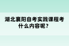 湖北襄陽自考實踐課程考什么內(nèi)容呢？