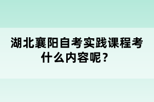 湖北襄陽自考實踐課程考什么內(nèi)容呢？