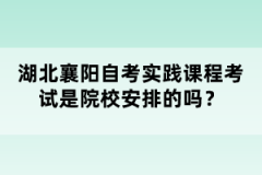 湖北襄陽自考實踐課程考試是院校安排的嗎？