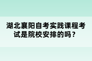 湖北襄陽自考實(shí)踐課程考試是院校安排的嗎？