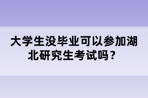 大學(xué)生沒畢業(yè)可以參加湖北研究生考試嗎？