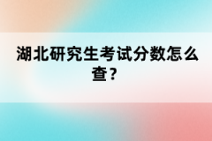 湖北研究生考試分?jǐn)?shù)怎么查？