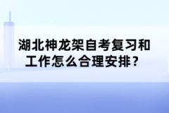 湖北神龍架自考復(fù)習(xí)和工作怎么合理安排？