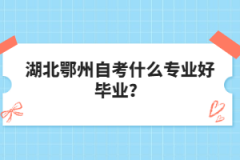 湖北鄂州自考什么專業(yè)好畢業(yè)？