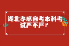 湖北孝感自考本科考試嚴不嚴？