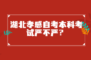 湖北孝感自考本科考試嚴(yán)不嚴(yán)？