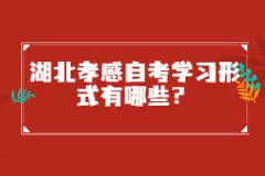 湖北孝感自考學習形式有哪些？