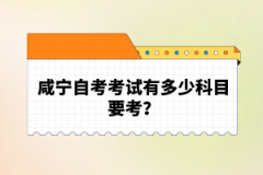 咸寧自考考試有多少科目要考？