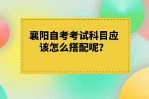 襄陽自考考試科目應(yīng)該怎么搭配呢？