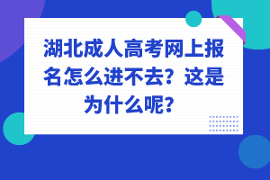 湖北成人高考網(wǎng)上報(bào)名怎么進(jìn)不去？這是為什么呢？