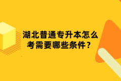 湖北普通專升本怎么考需要哪些條件？