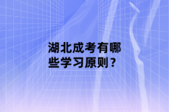 湖北成考有哪些學(xué)習(xí)原則？