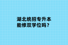 湖北統(tǒng)招專升本能修雙學(xué)位嗎？