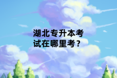 湖北專升本考試在哪里考？
