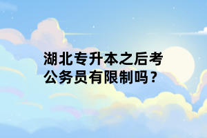 湖北專升本之后考公務(wù)員有限制嗎？