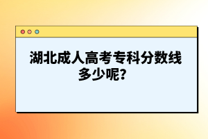湖北成人高考?？品謹?shù)線多少呢？