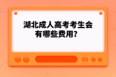 湖北成人高考考生會(huì)有哪些費(fèi)用？