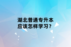 湖北普通專升本應(yīng)該怎樣學(xué)習(xí)？