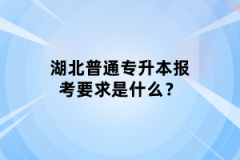 湖北普通專升本報考要求是什么？