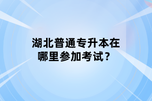 湖北普通專升本在哪里參加考試？