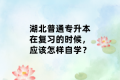 湖北普通專升本在復(fù)習(xí)的時候，應(yīng)該怎樣自學(xué)？