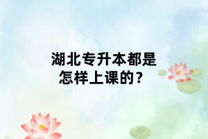 湖北專升本都是怎樣上課的？