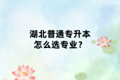 湖北普通專升本怎么選專業(yè)？