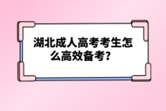 湖北成人高考考生怎么高效備考？