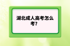 湖北成人高考怎么考？