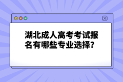 湖北成人高考考試報名有哪些專業(yè)選擇？